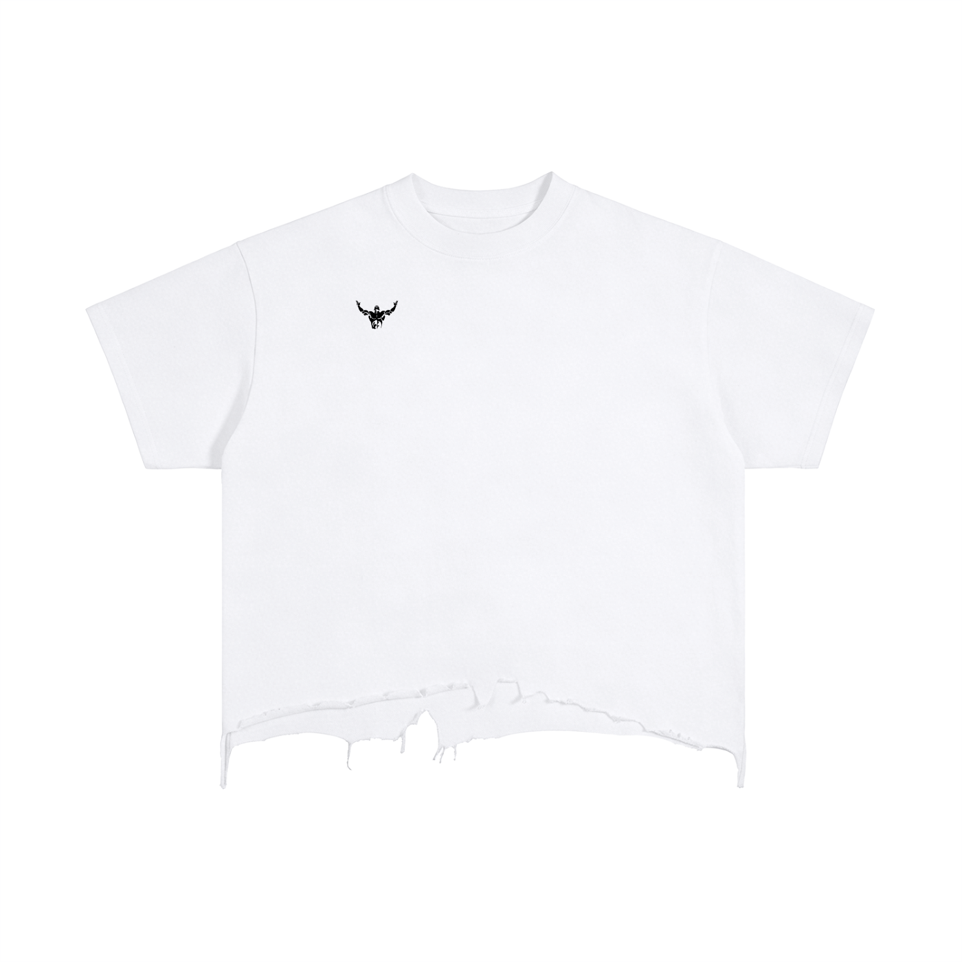 Fitza ,t- shirt,sports,gym,gym wear