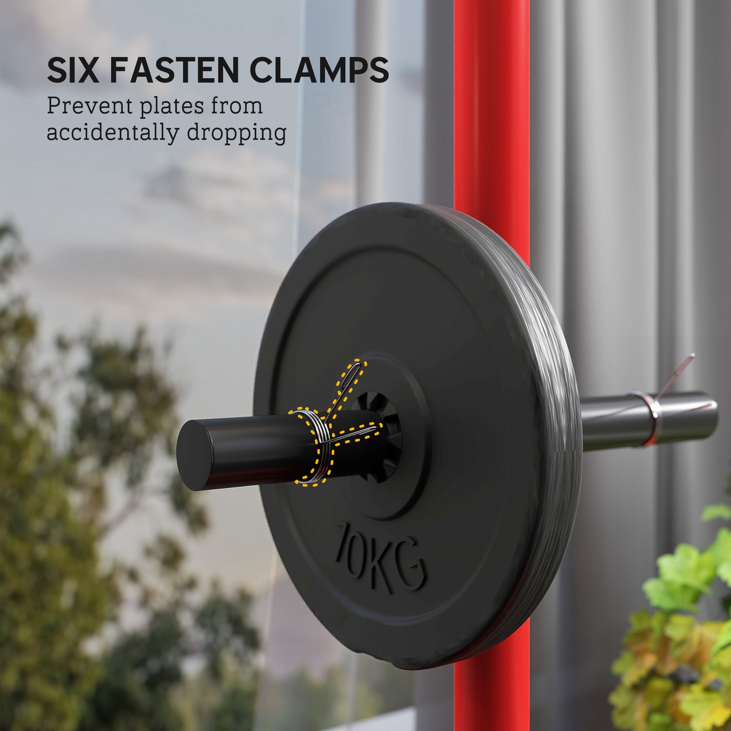 Olympic Weight Plate Rack