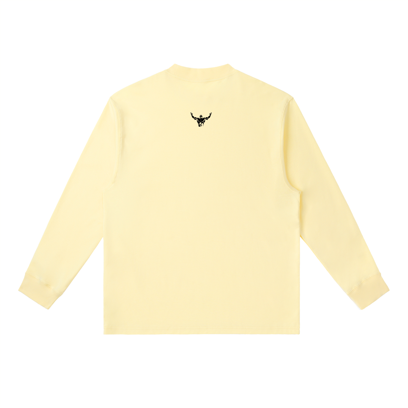 Fitza,gym,gym wear,sports,long sleeve t-shirt,t-shirt